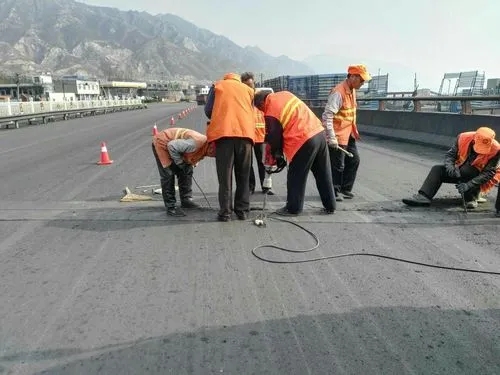 成安道路桥梁病害治理